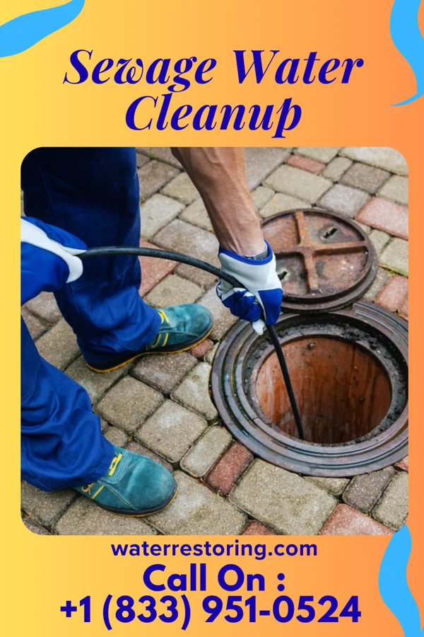 Sewage Water Cleanup in Ashton, IA